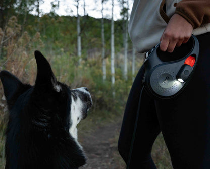 TUG Oval 360° Tangle-Free Retractable Dog Lead with Integrated Waste Bag Dispenser (Medium, Grey)